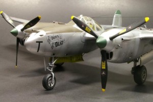 IMGP3079