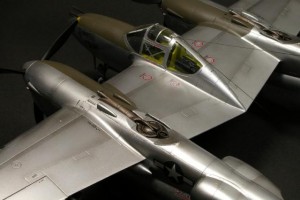 IMGP3080