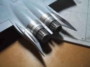 IMG_1244
