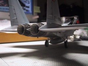 IMG_1252