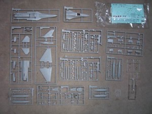 IMG_1809